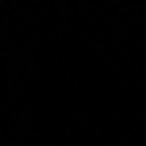 Meet your Posher, Aiden